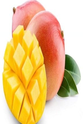 Tüplü Tropik Mango Fidanı EHLNTWX3