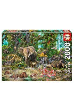 African Jungle 2000 Parça Puzzle No.16013 063247