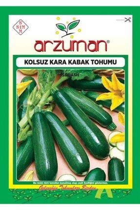 Arzuman Sebze Kolsuz Kara Kabak Tohumu 10 Gram 07849451
