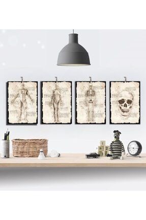 Iskelet ve Anatomi Da Vinci Ahşap Tablo Seti 15x21cm 8 mm 4'lü Trendyol-4li-59