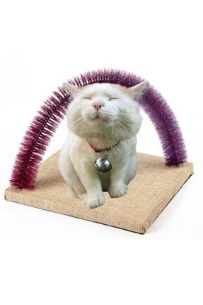 Fırçalı Kedi Kaşınma Sürtünme ve Masaj tahtası Tek-Kaşınma-Platformu
