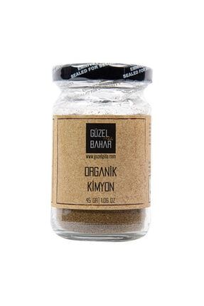 Guzel Gida Organik Toz Zerdecal 45gr Trendyol