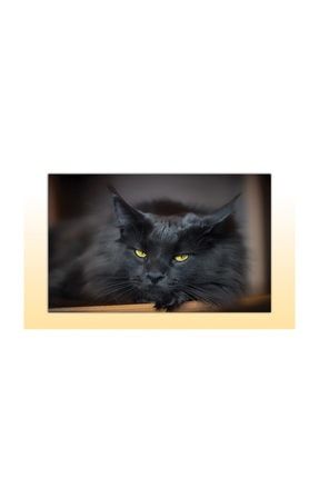 cakatablo ahsap tablo kederli kedi