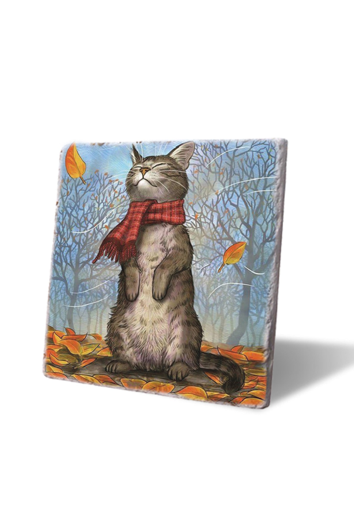 LWP Shop Rüzgar ve Kedi Nihale