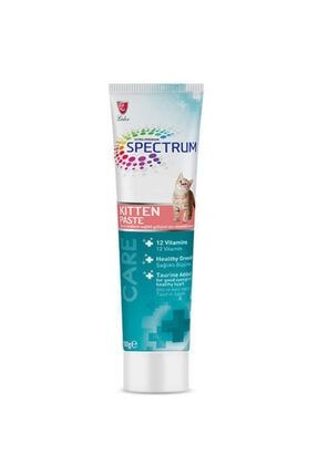 spectrum kitten paste yavru kedi