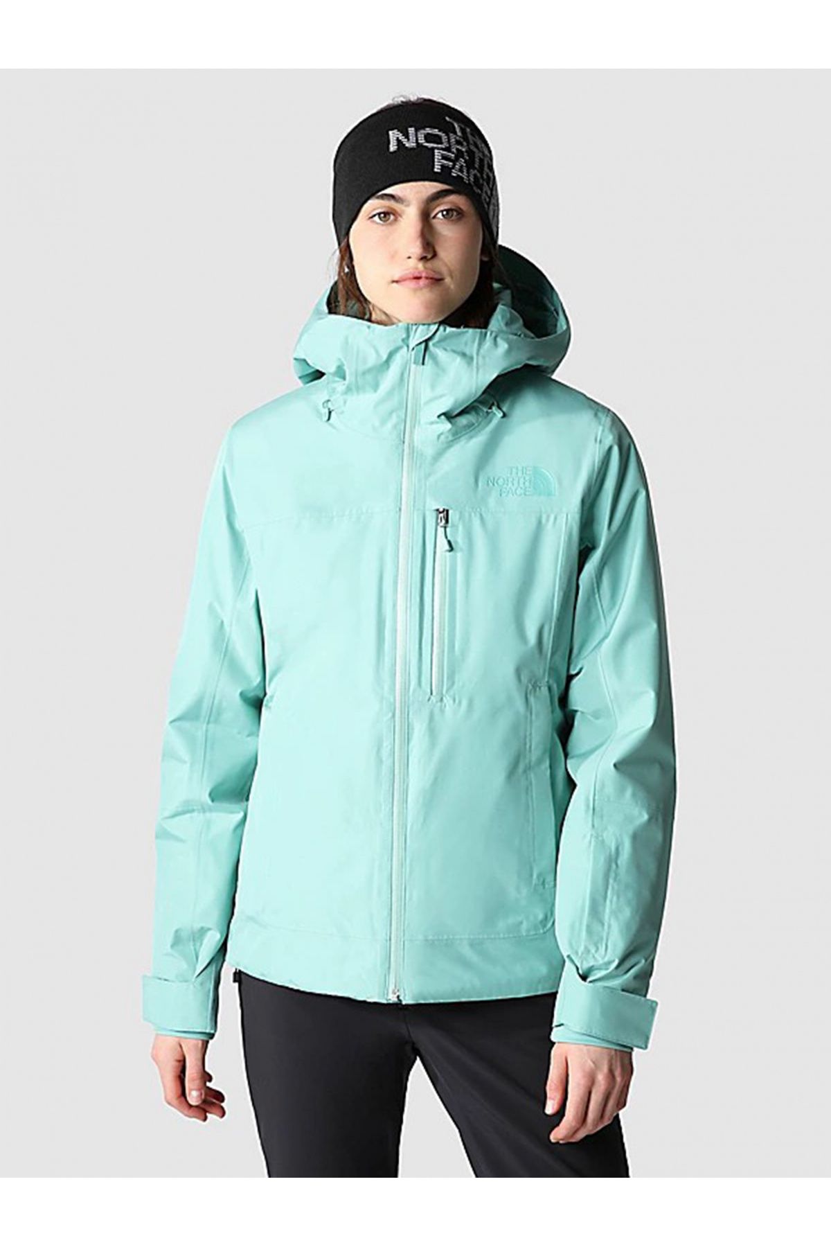 Descendit north sale face jacket