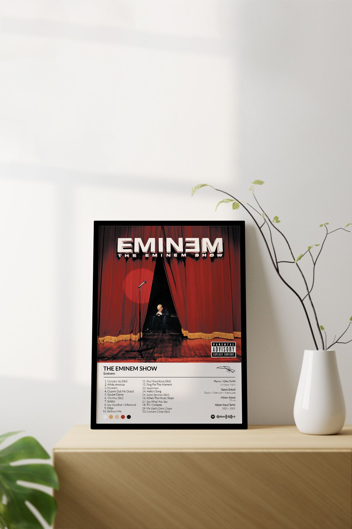 eminem alaycı kuş albüm kapağı