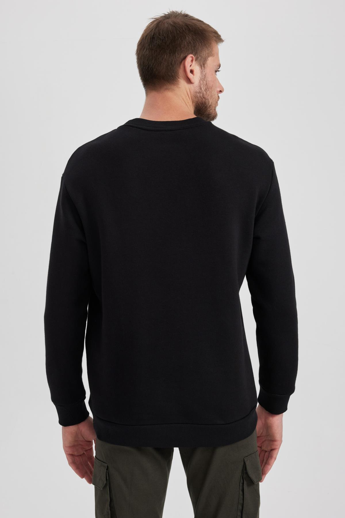 سویشرت مردانه دفاکتو | A5355AX23AU Defacto - Image 5