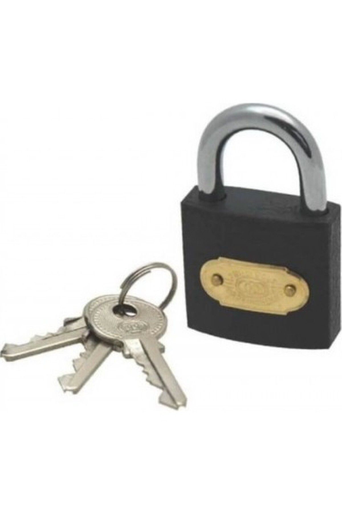 Home padlock 2025