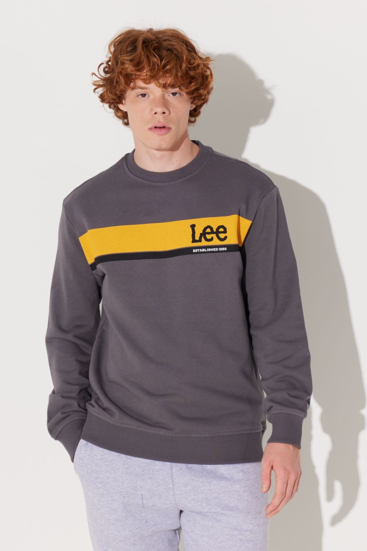 Lee Sweatshirt - Gray - Regular fit