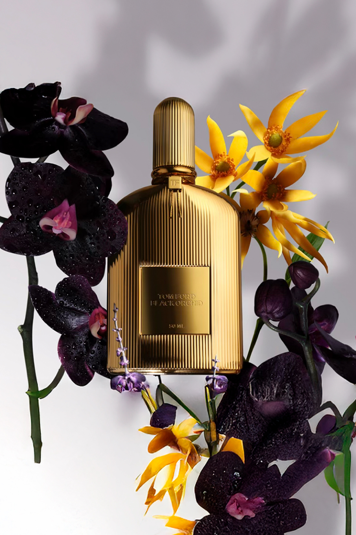 عطر زنانه | تام فورد Tom Ford 888066112734 - تصویر 2