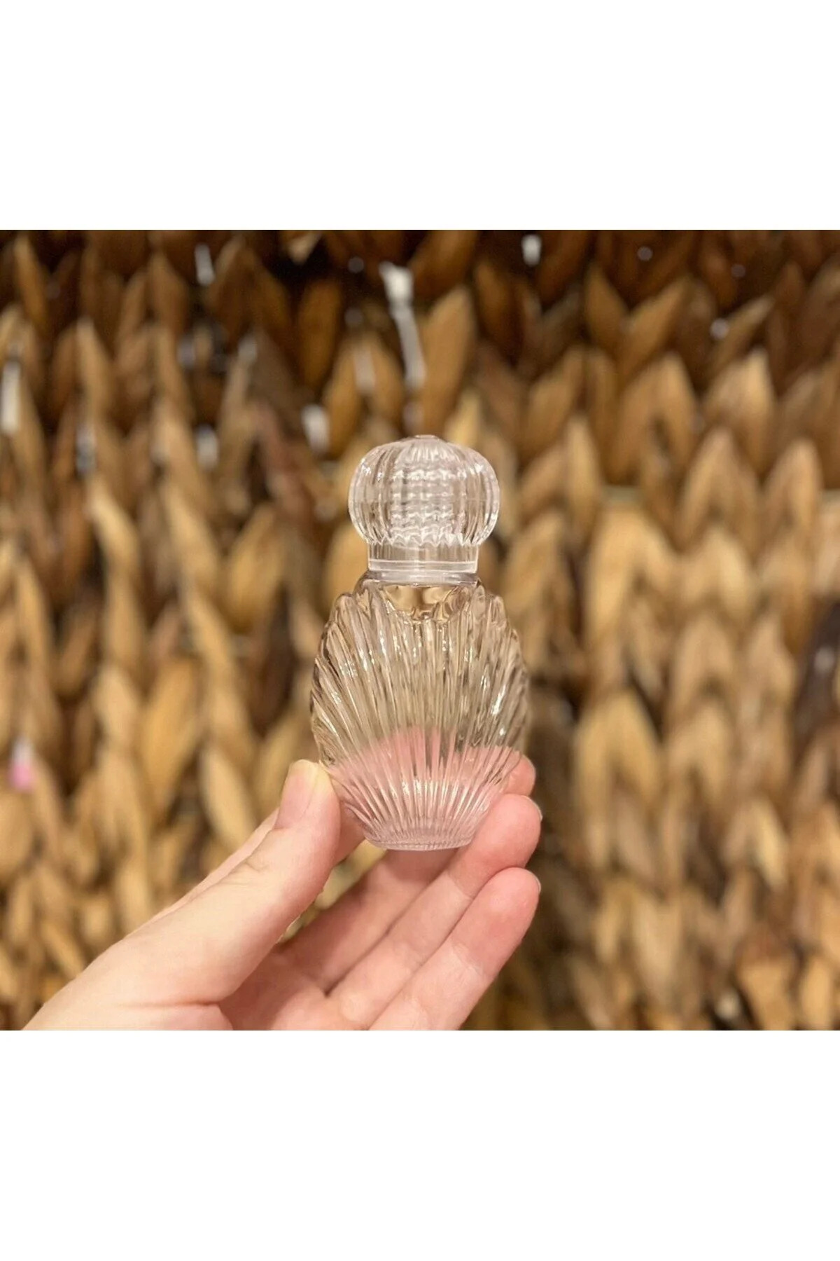 MayaArtDesign (30 ADET) Mika Plastik İstiridye Boş Kolonya Şişesi 40cc (Tıpa+Kapak)