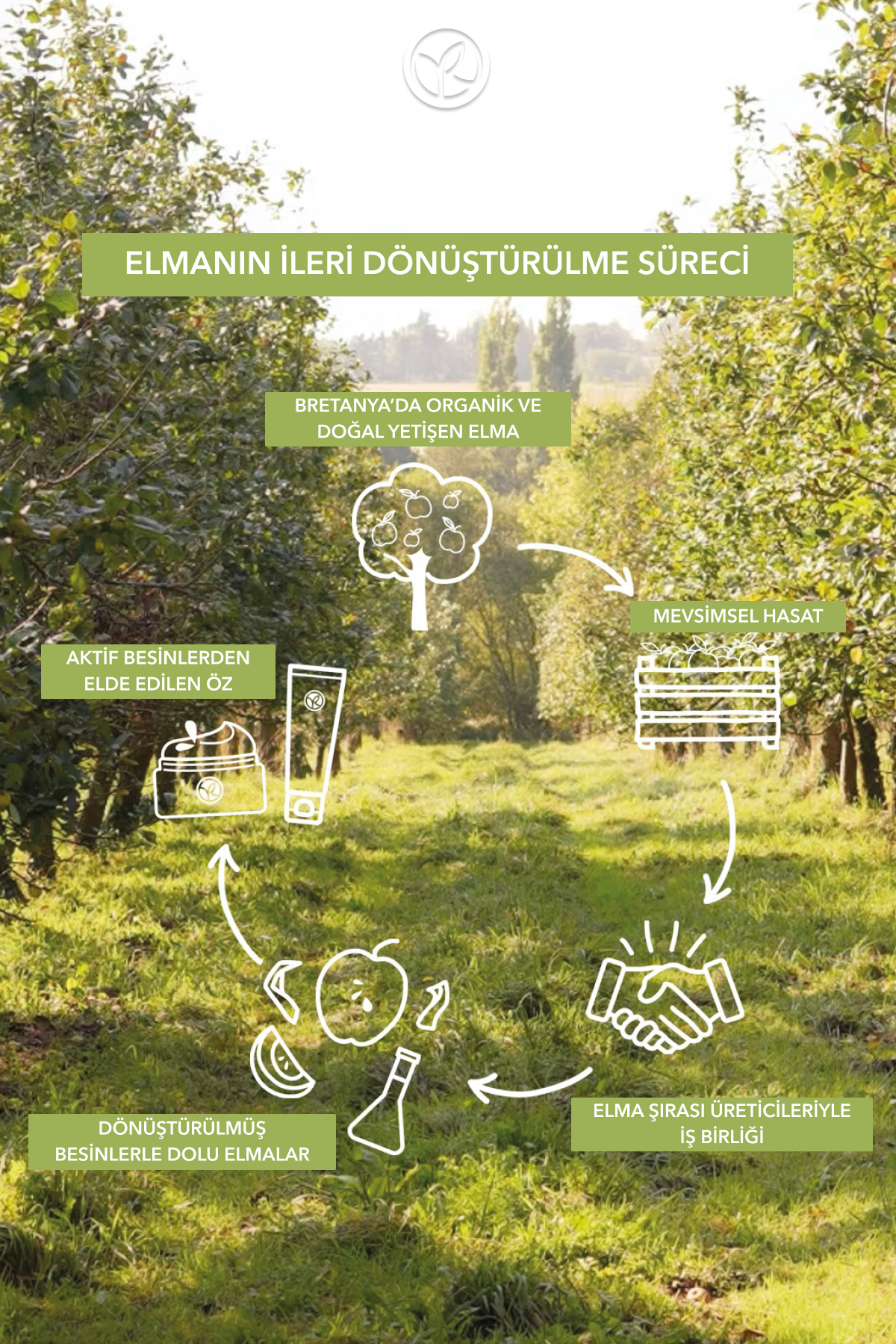 شامپو پسرانه – دخترانه  ایوروشهYves Rocher | 90686 اورجینال - تصویر 5