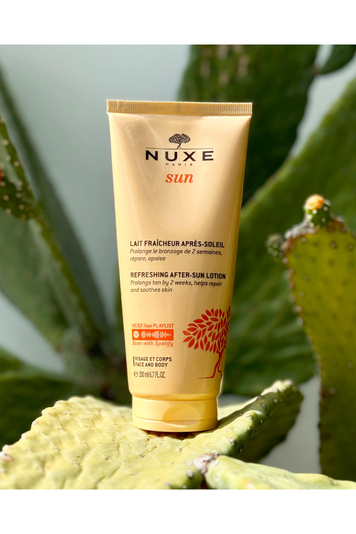 ضد آفتاب صورت   Nuxe | 3.26468E+12 اورجینال - تصویر 6