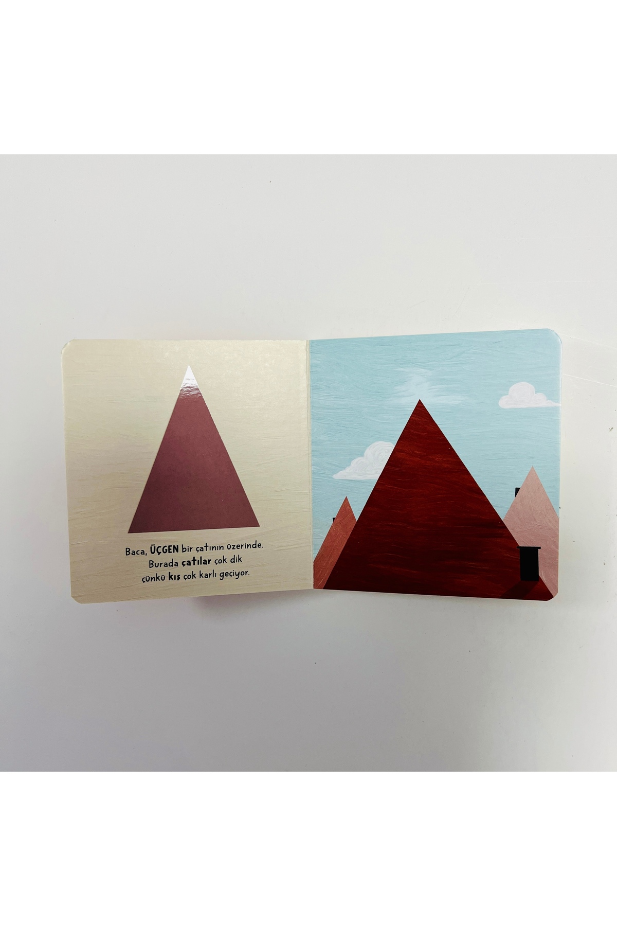 Sincap Kitap Bebek Üniversitesi-şekiller fotoğrafı 2 (önizleme)