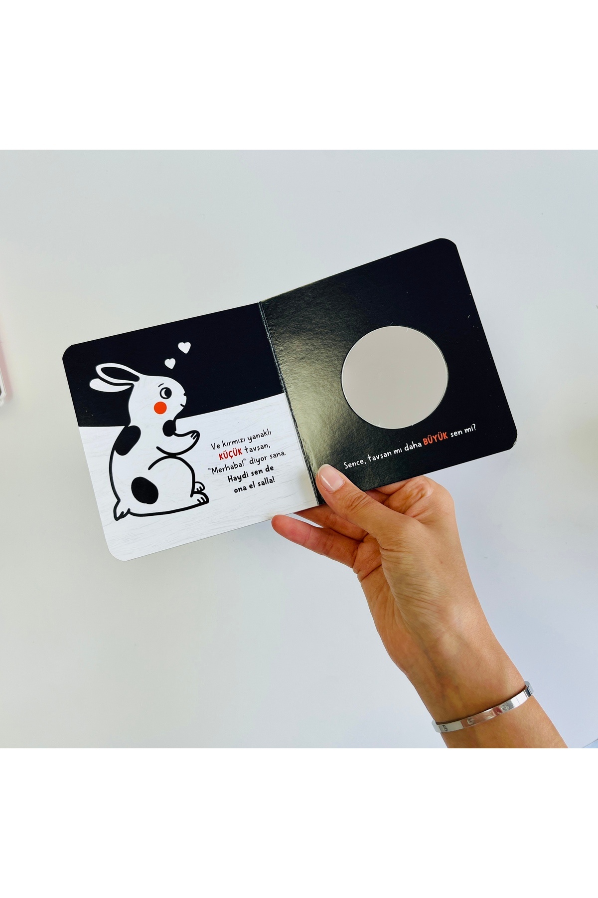 Sincap Kitap Bebek Üniversitesi Set (4 Kitap) - - Çağrı Odabaşı Kitabı fotoğrafı 5 (önizleme)