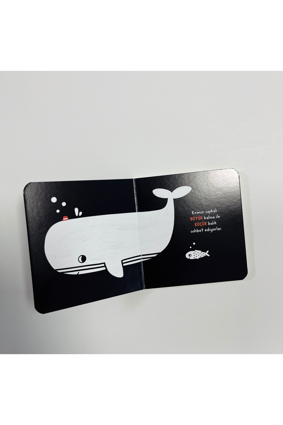 Sincap Kitap Bebek Üniversitesi - Büyük Küçük / Kolektif / Sincap Kitap / 9786057112873 fotoğrafı 3 (önizleme)