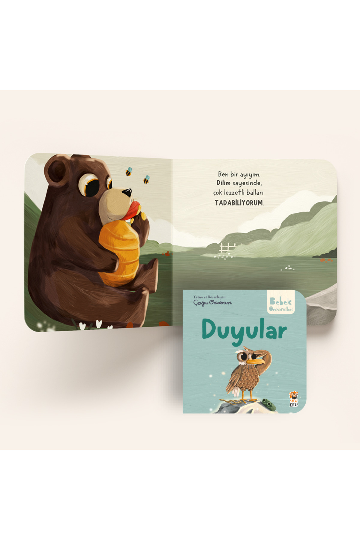 Sincap Kitap Hikayeli İlk Kavramlarım - Duyular fotoğrafı 2 (önizleme)