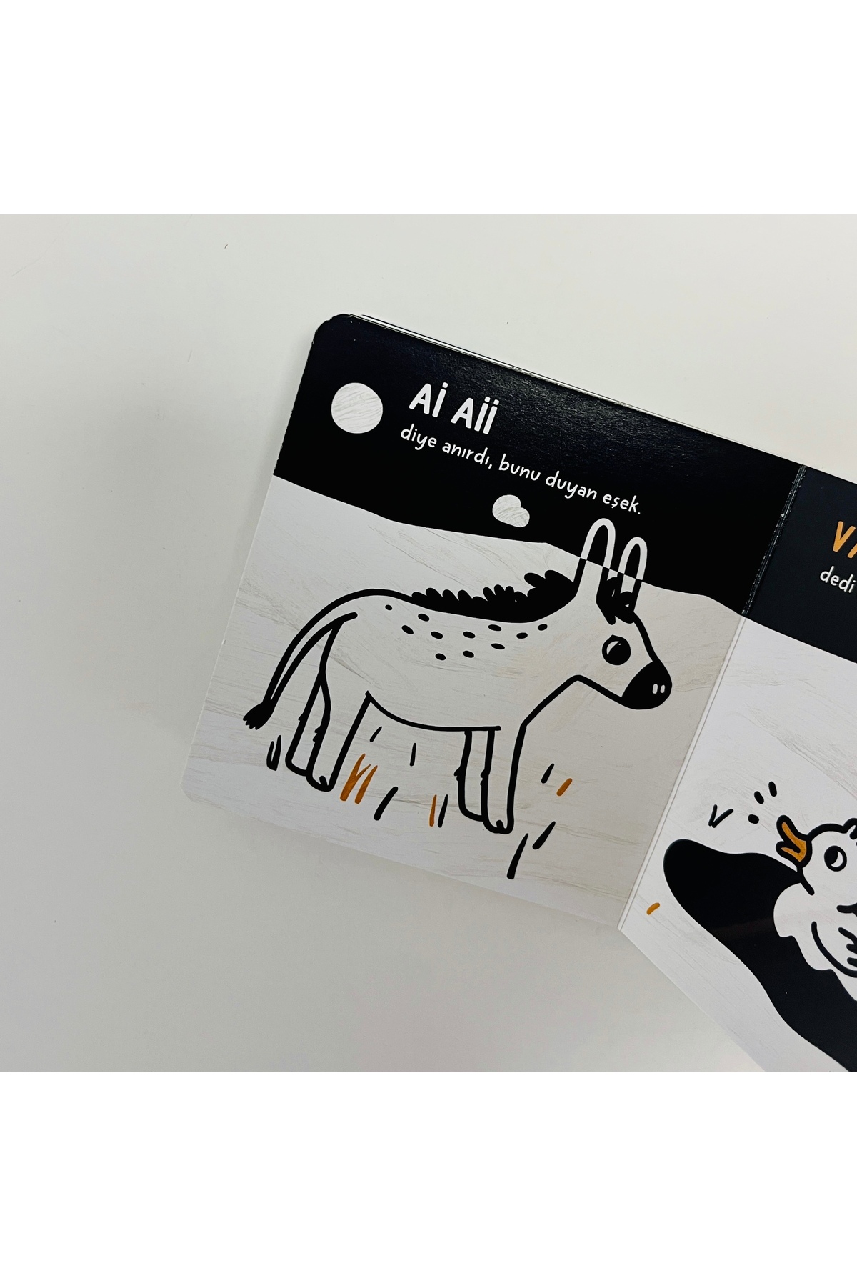 Sincap Kitap Bebek Üniversitesi - İletişim fotoğrafı 4 (önizleme)