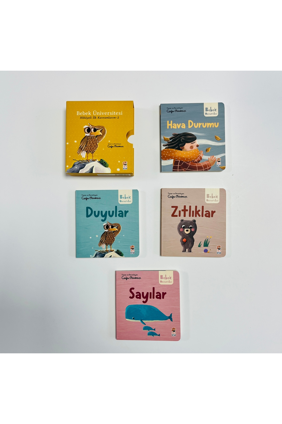 Sincap Kitap Bebek Üniversitesi Hikayeli İlk Kavramlarım 4 Seri 16 Kitap Set fotoğrafı 3 (önizleme)