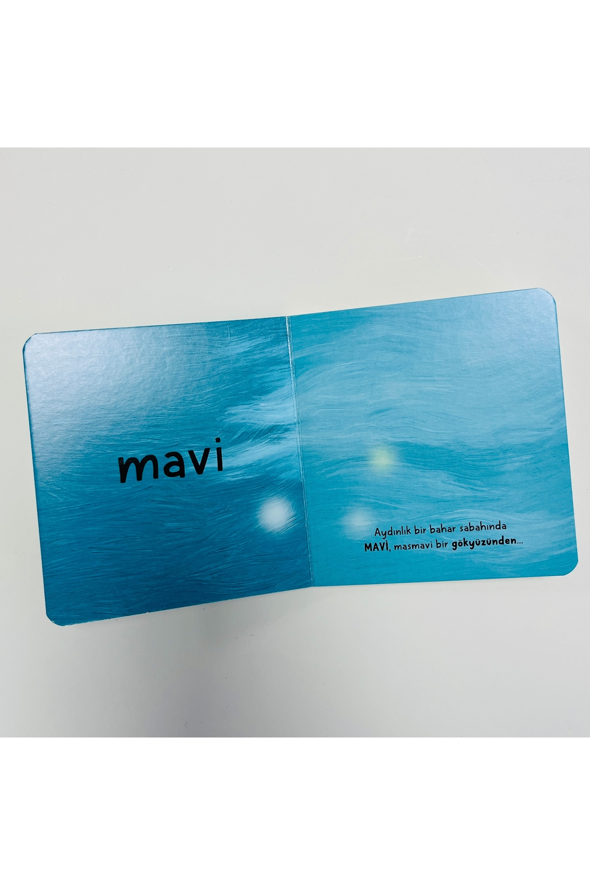 Sincap Kitap Bebek Üniversitesi - Renkler fotoğrafı 3 (önizleme)