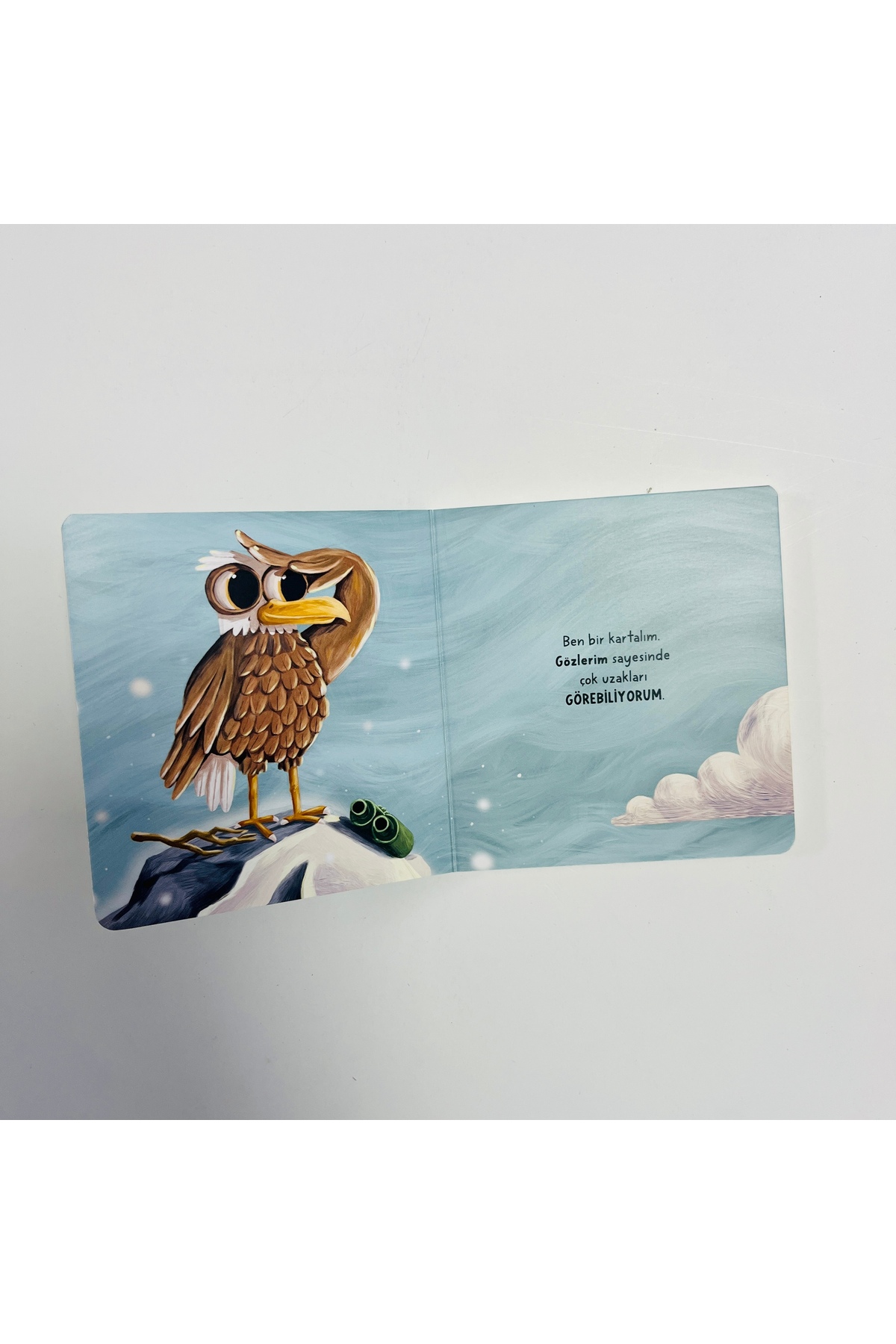 Sincap Kitap Hikayeli İlk Kavramlarım - Duyular fotoğrafı 3 (önizleme)