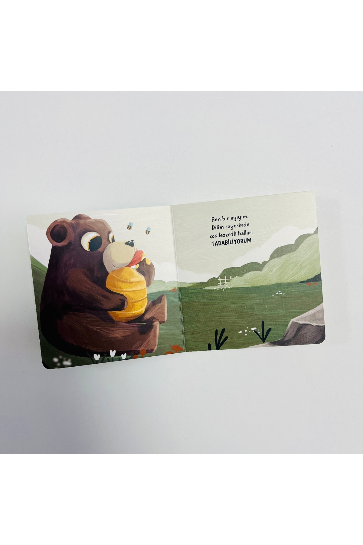 Sincap Kitap Hikayeli İlk Kavramlarım - Duyular fotoğrafı 4 (önizleme)