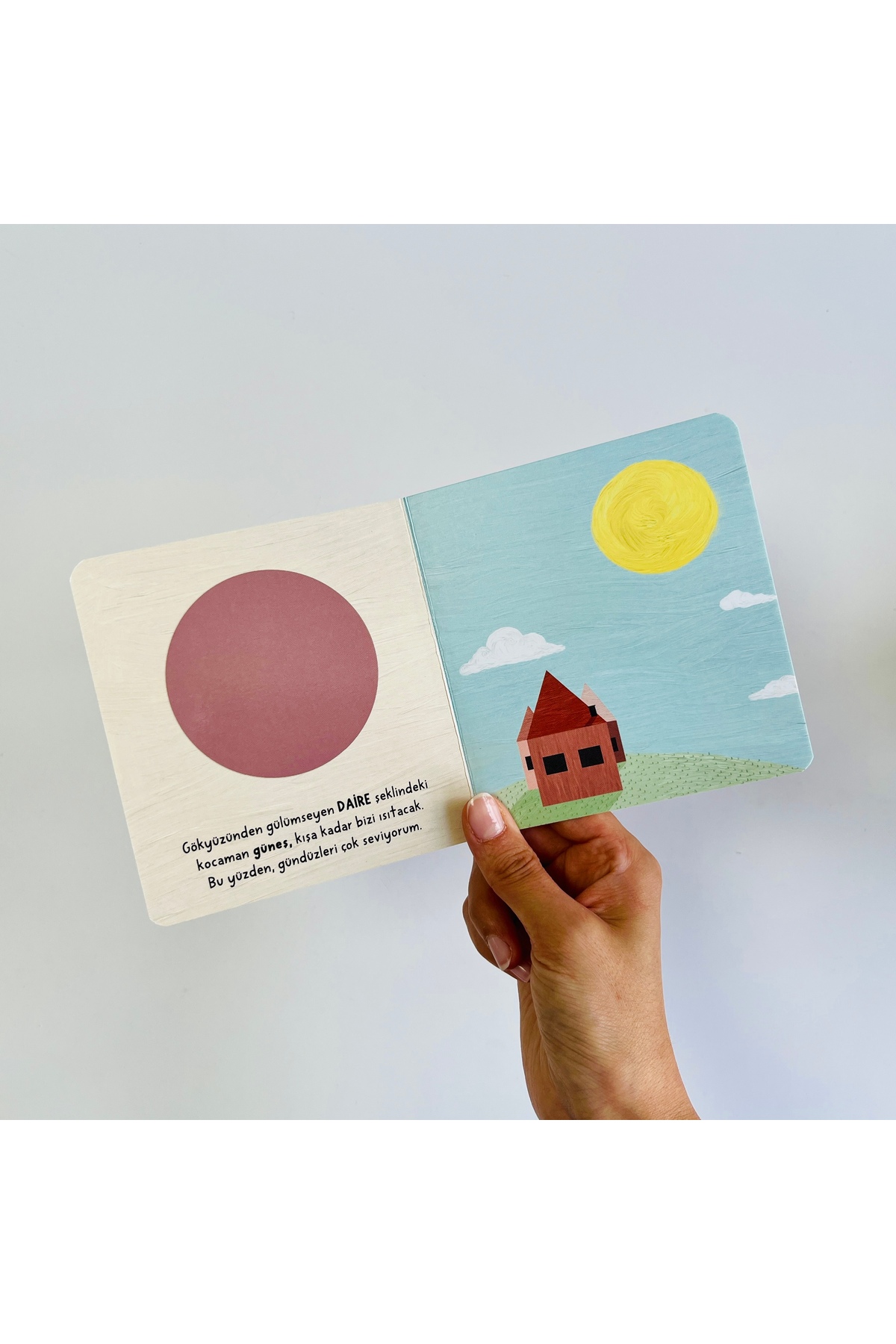 Sincap Kitap Bebek Üniversitesi Set (4 Kitap) - - Çağrı Odabaşı Kitabı fotoğrafı 4 (önizleme)