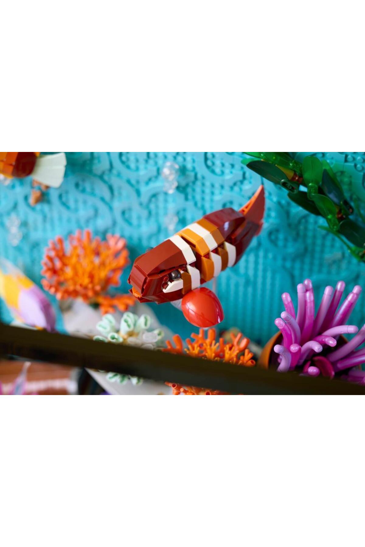 ۱۰۳۶۶ آیکون آکواریوم گرمسیری