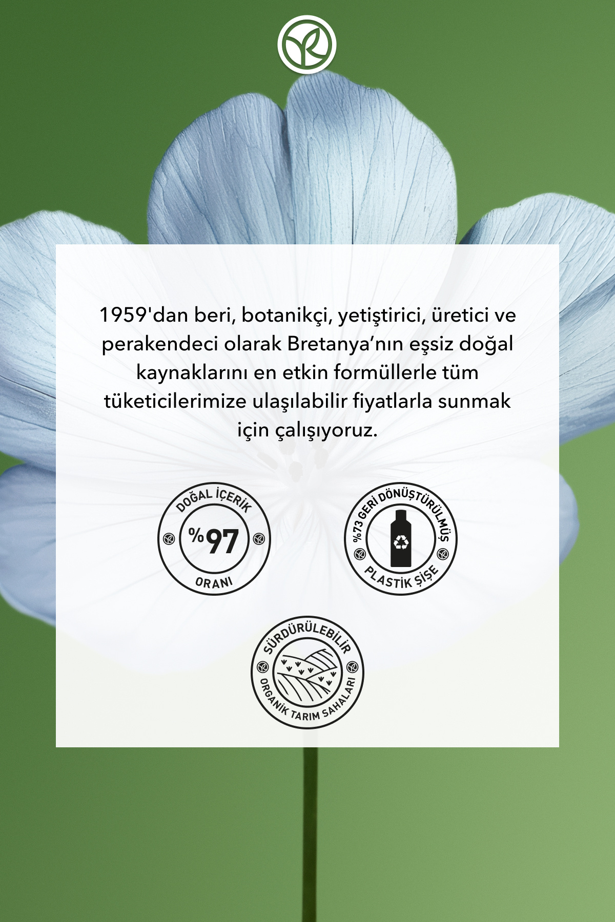 Bukle Belirginleştirici Saç Kremi - Kıvırcık ve Dalgalı Saçlar/ Boucle -Vegan -200ml — 98778 — تصویر 8 از 8