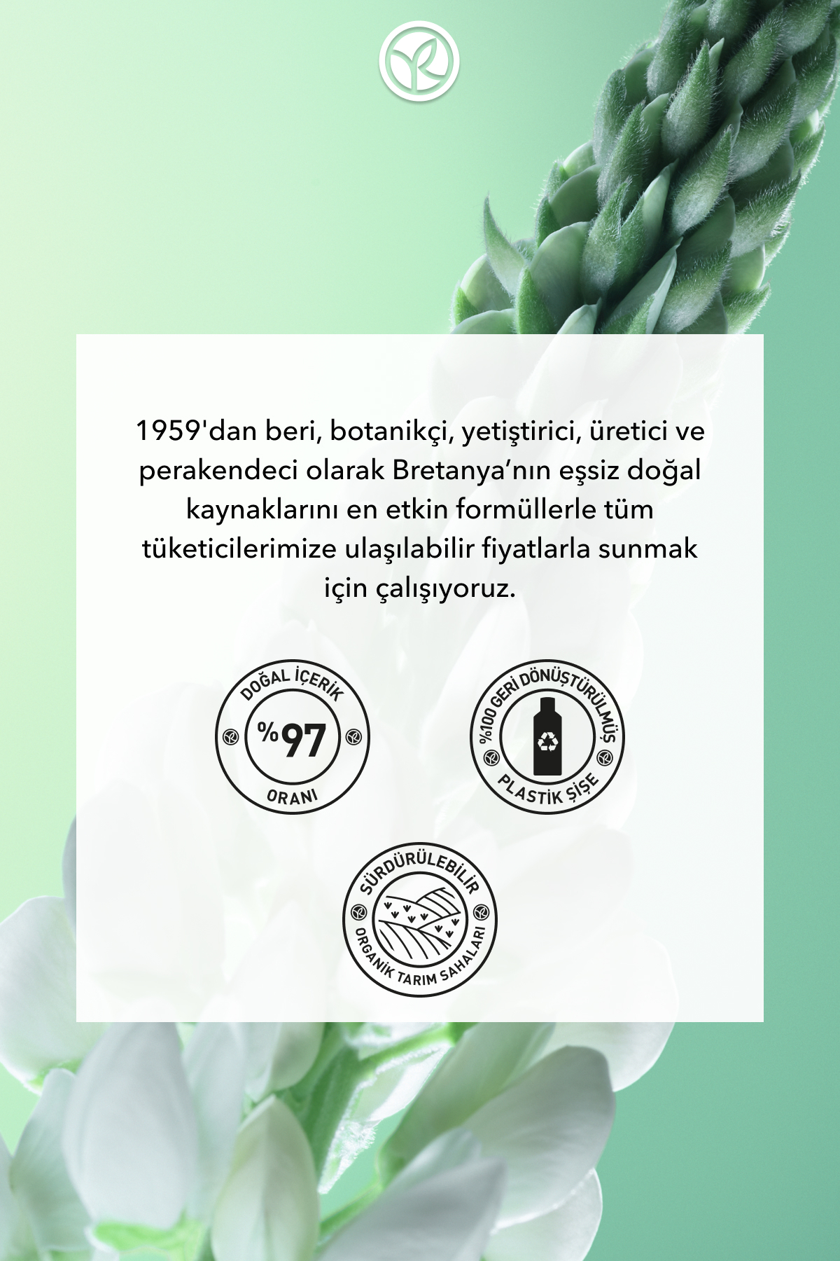 Güçlendirici Prebiyotik Saç Kremi - Saç Dökülmesine Karşı / Anti-Chute - Vegan -200ml — 52694 — تصویر 8 از 8