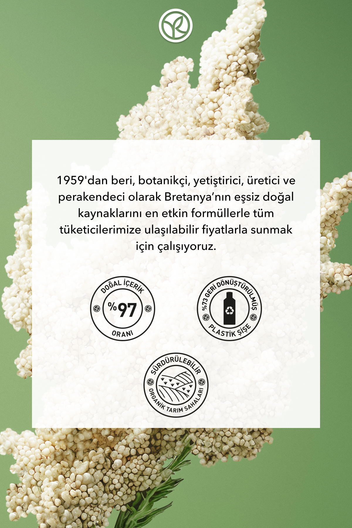 Hacim Veren Saç Kremi - İnce Telli Saçlar / Volume -Vegan -200ml — 93556 — تصویر 8 از 8