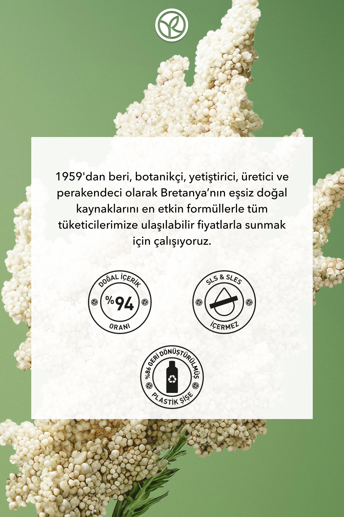 Hacim Veren Şampuan - İnce Telli Saçlar / Volume - SLS,SLES içermez, Vegan -300ml — 92925 — تصویر 8 از 8