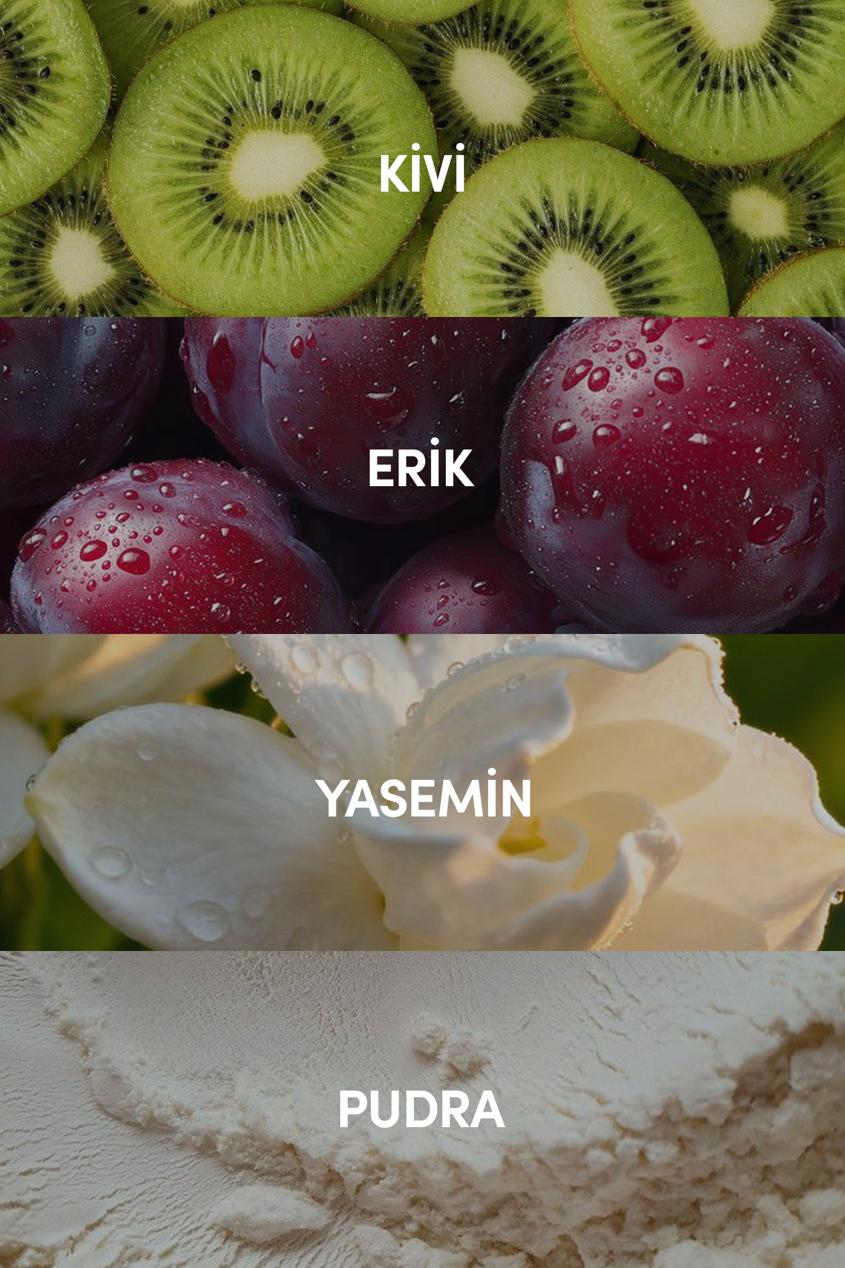 Améline EDP Kadın Parfüm 50ml | Pudramsı - Çiçeksi - Ferah | Yasemin, Misk — IPW009 — تصویر 4 از 8