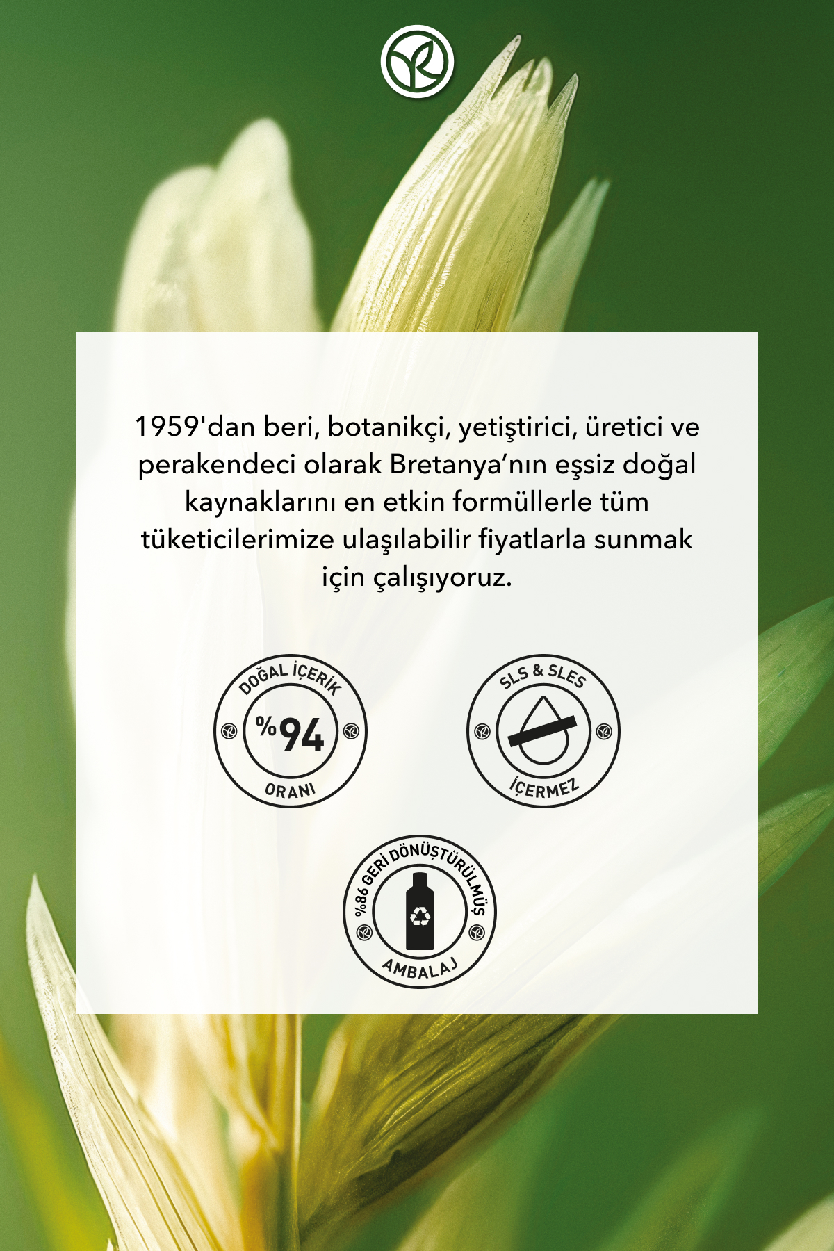 Yatıştırıcı Prebiyotik Şampuan-Asi ve Kabarık Saçlar / Lissage-SLS,SLES İçermez,Vegan-300ml — 729 — تصویر 7 از 7