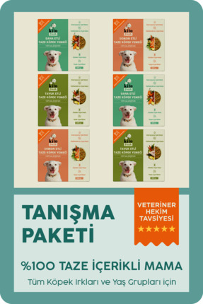 kito Fresh Köpekler için %100 Taze İçerikli Mama Tanışma Paketi
