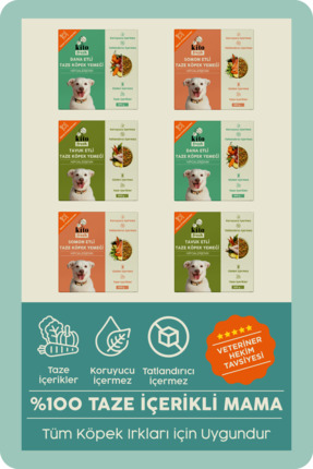kito Fresh Köpekler için %100 Taze İçerikli Mama Tanışma Paketi