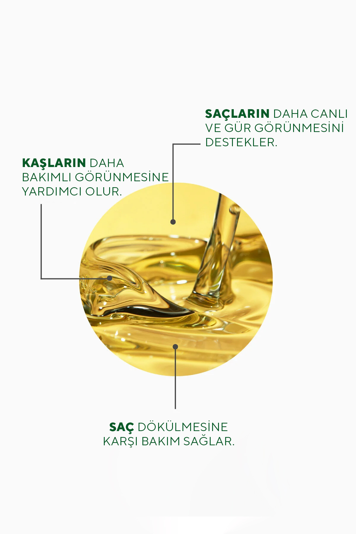 2'li Biberiye Saç Yağı Complexi | Biotin, Hint Yağı, Vitamin E 50 ml — THBY2 — تصویر 4 از 7