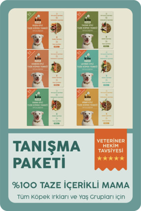 kito Fresh Köpekler için %100 Taze İçerikli Mama Tanışma Paketi