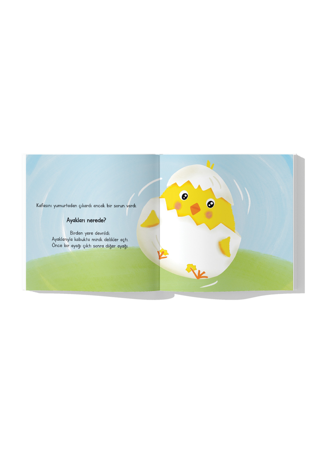 Çocuk Akademi Sabırsız Civciv fotoğrafı 3 (önizleme)