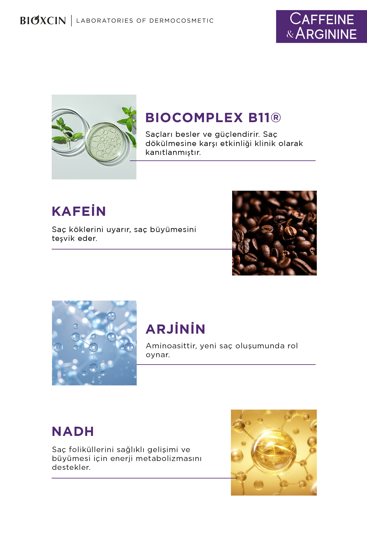 Caffeine & Arginine NADH Şampuan 500 ml – Saç Dökülmesine Karşı Bakım - Kafein, Arjinin — 5007257 — تصویر 4 از 6