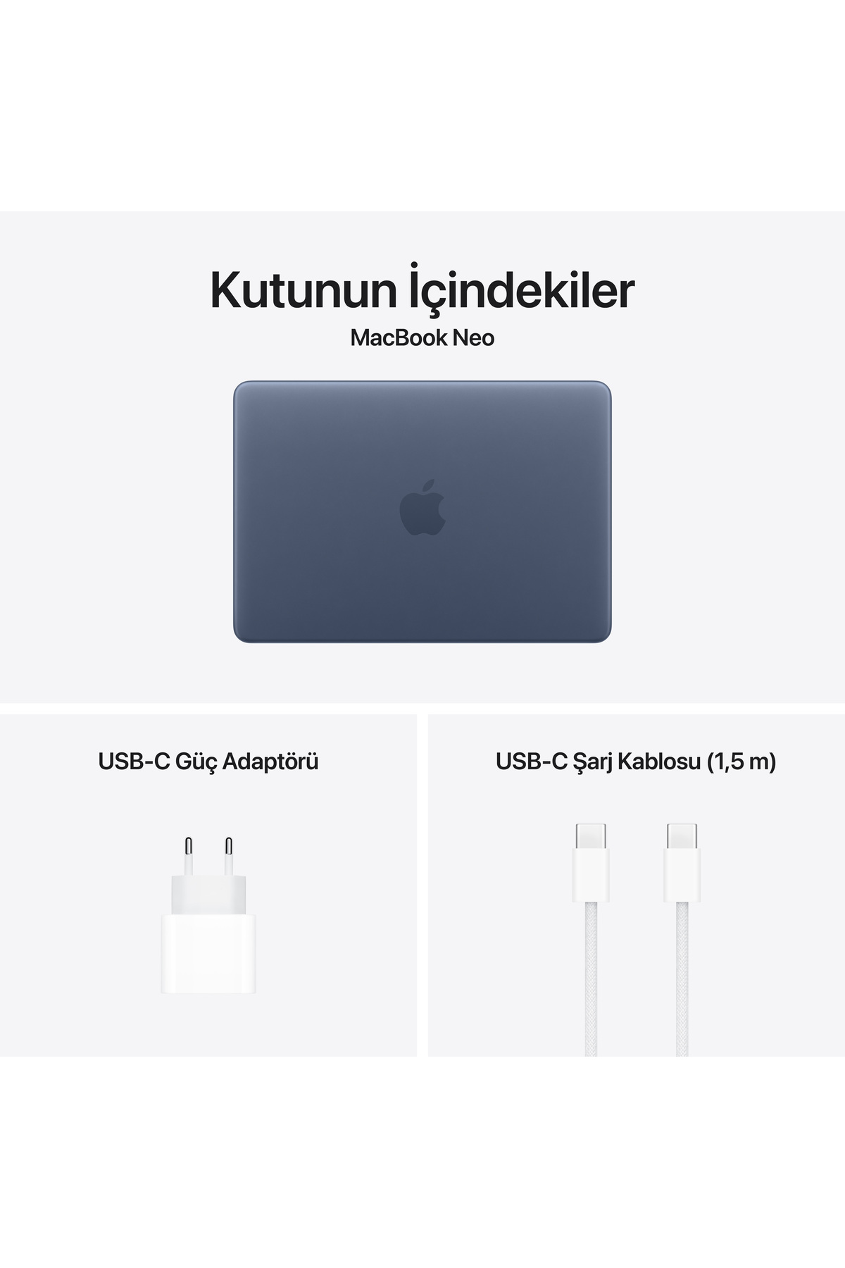 Apple 13