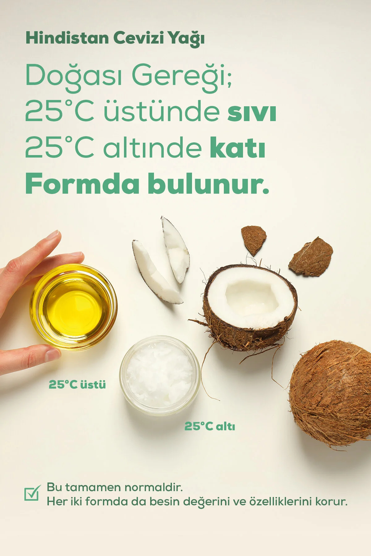 Hindistan Cevizi Yağı | 330 ml Arifoğlu | Soğuk Sıkım | Cold Pressed Virgin Coconut Oil — 600 28 252 — تصویر 4 از 6