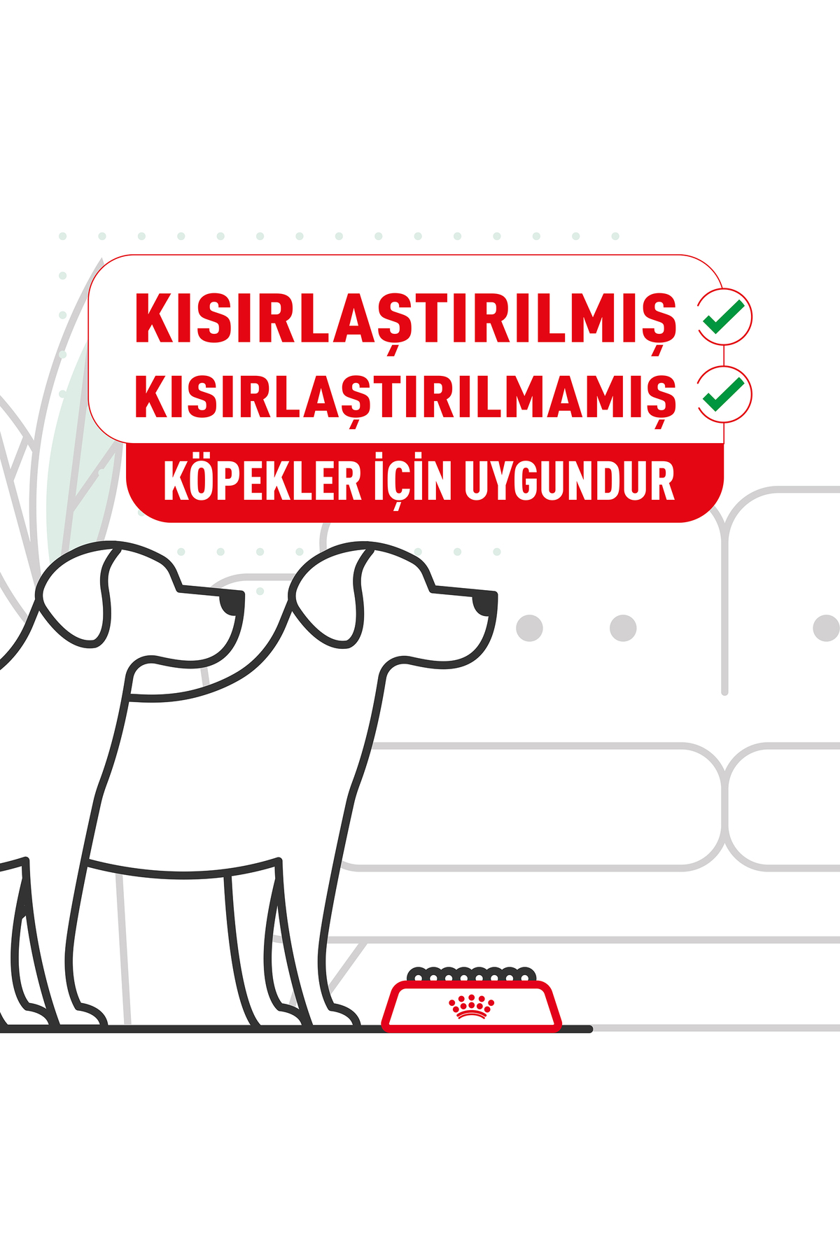 Royal Canin Pomeranian Kuru Köpek Maması 3kg