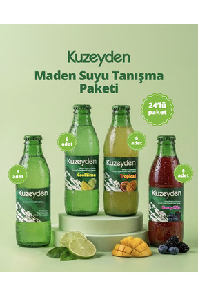 KUZEYDEN Maden Suyu Tanışma Paketi | 24x200ml | 6 x Sade,Berry Mix, Tropical,...