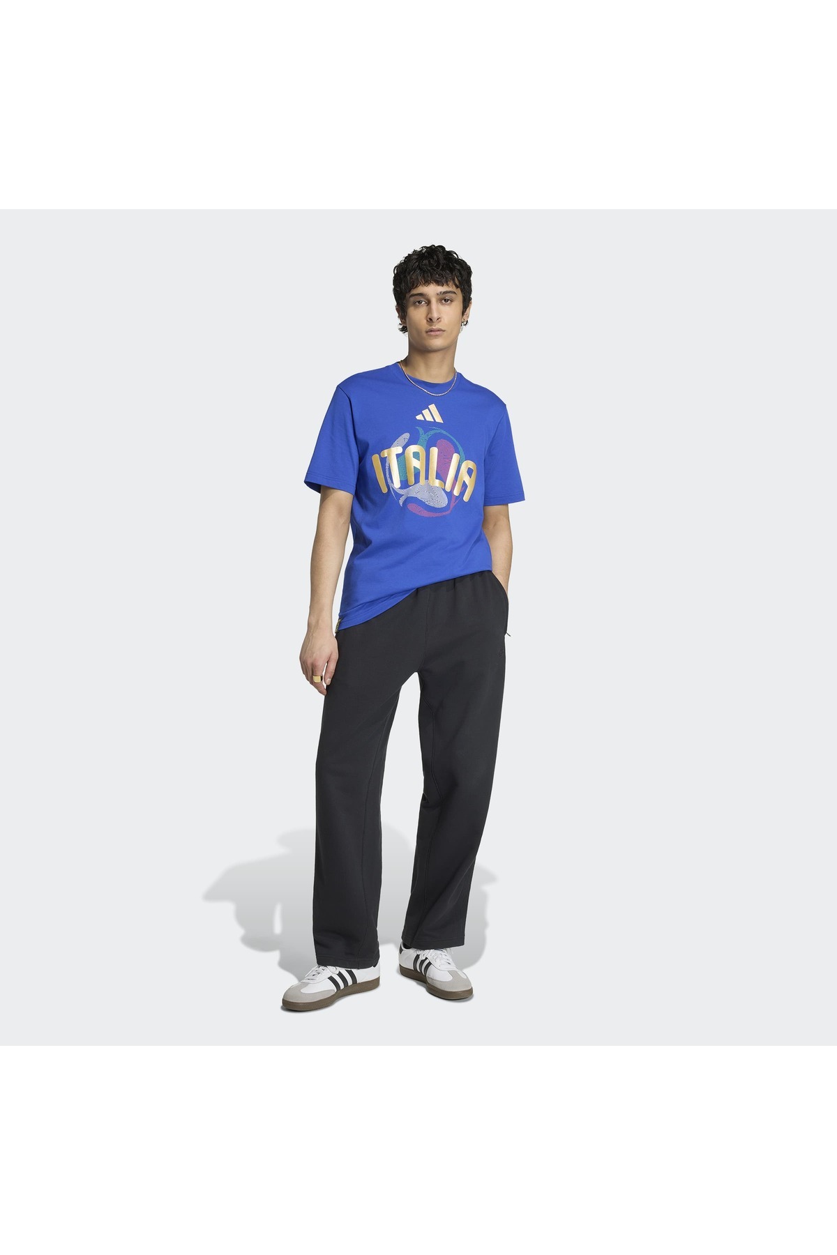 日体大カップ2024 SUMMER CUP NITTAIDAI Tシャツ XXL 1_org_zoom.jpg
