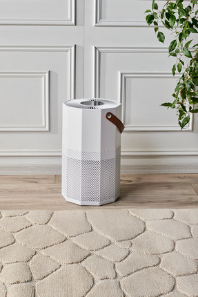 HOMEND 9012H Wi-Fi Destekli UV-C ve İyonizerli Akıllı Hava Temizleme Makinesi