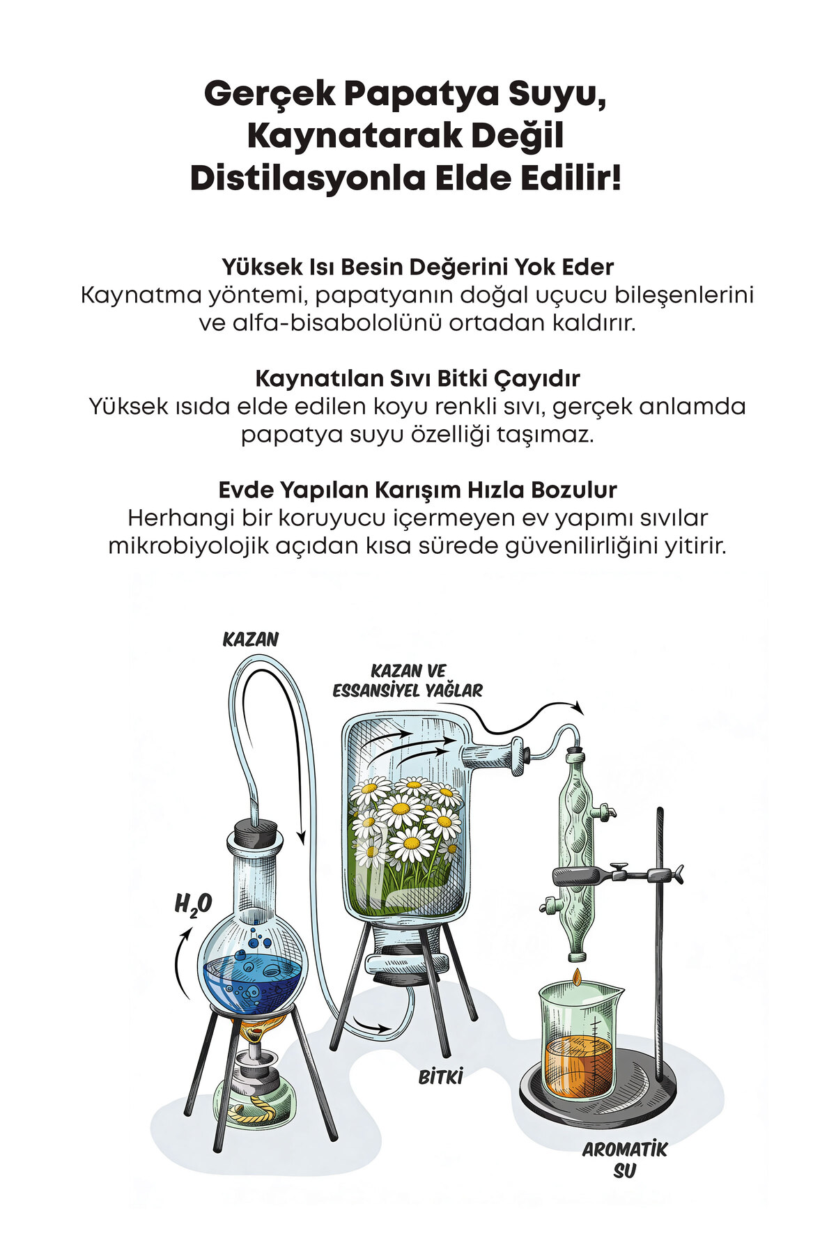 Saf Papatya Suyu & Hidrosolu, Saç Rengi Açıcı ve Parlaklık Verici Tonik Sprey 100 ml — 700 09 156 — تصویر 4 از 8