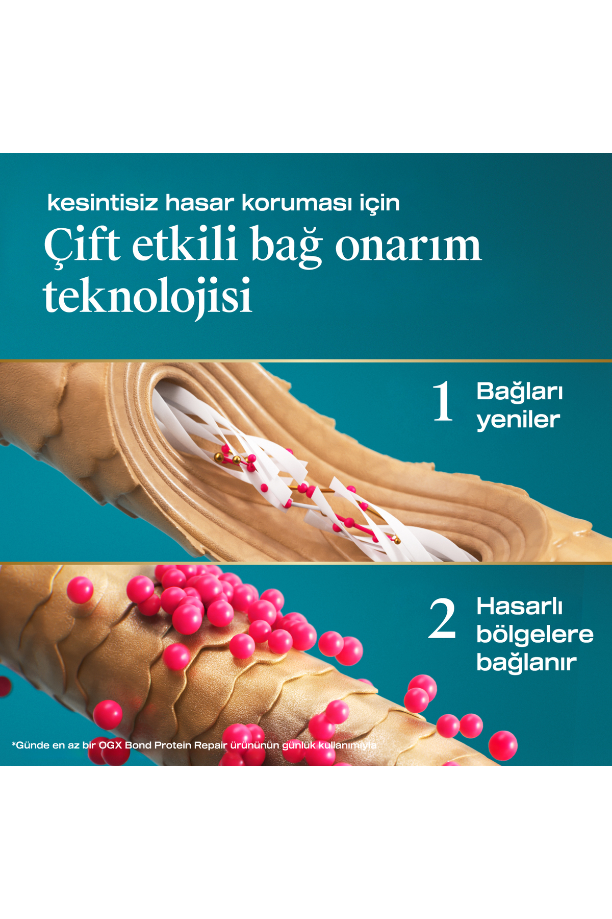Bond Protein Repair 3 Etkili Saç Bakım Yağı 50 ml — 3574661818481 — تصویر 6 از 8