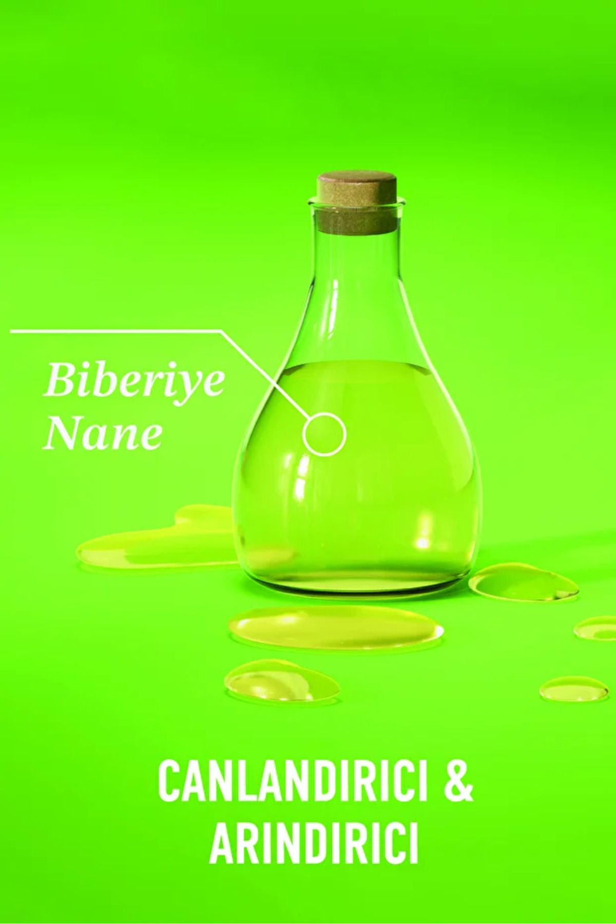 Rosemary Mint (BİBERİYE & NANE IÇEREN) Arındırıcı Saç Bakım Kremi 385 ml & Tarak — PKTRSMRYSÇBKMKRMTRK — تصویر 4 از 8